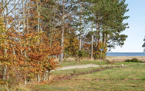 Joon - 300M from the Sea: Tag, Hus, Hjem, Sommerhus, Sidespor, Estate, Indkørsel, Garden Bygninger, Gård, Skur