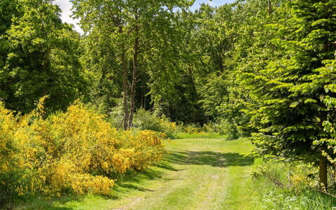 Gunward - 1.5Km from the Sea: Boligområde, Tag, Forstad, Indkørsel, Estate, Skorsten