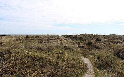 Alexi - 150M from the Sea: Himmel, Græs, Naturligt Miljø, Vegetationen, Græs-, Økoregion, Horisont, Plantesamfund, Shrubland, Ødemark