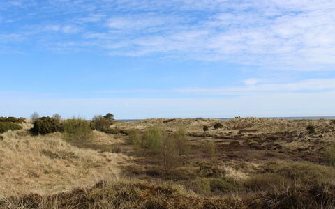 Alexi - 150M from the Sea: Himmel, Blå, Græs, Naturligt Miljø, Vegetationen, Økoregion, Græs-, Horisont, Shrubland, Plantesamfund