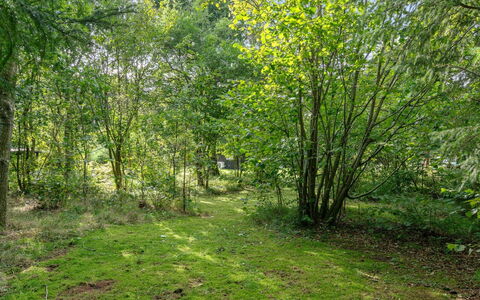 Arnborg - 2Km from the Sea: Arkitektur, Tag, Hjem, Kompositmateriale, Dagslys, Sidespor, Indkørsel