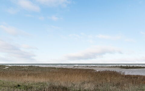 Timmi - 100M from the Sea: Tækning, Sommerhus, Hus, Tag, Hjem, Stuehus, Hytte, Estate, Landsby