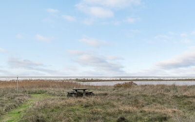 Timmi - 100M from the Sea