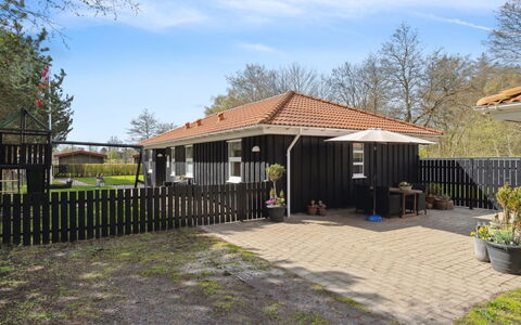 Alla - 500M from the Sea: Plantesamfund, Sollys, Urteagtig Plante, Have, Plantation, Landbrug, Farm