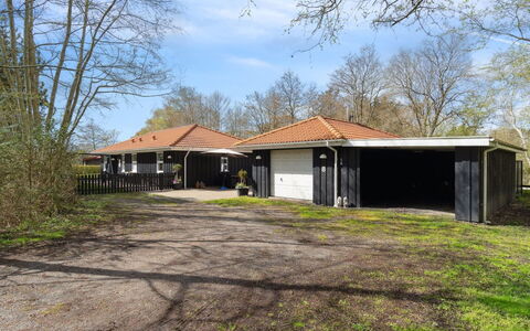 Alla - 500M from the Sea: Plantesamfund, Sollys, Urteagtig Plante, Have, Plantation, Landbrug, Farm
