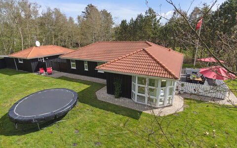 Alla - 500M from the Sea: Plantesamfund, Sollys, Urteagtig Plante, Have, Plantation, Landbrug, Farm
