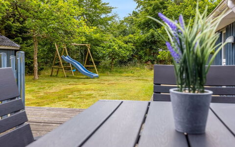 Akima - 700M from the Sea: Plantesamfund, Sollys, Urteagtig Plante, Have, Plantation, Landbrug, Farm