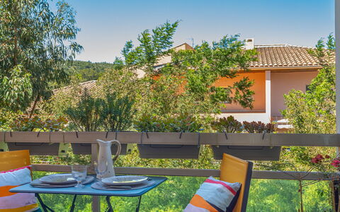 Bormes-Les-Mimosas 200: Himmel, Plante, Ejendom, Møbel, Plantesamfund, Botanik, Natur, Azure, Bord, Stol
