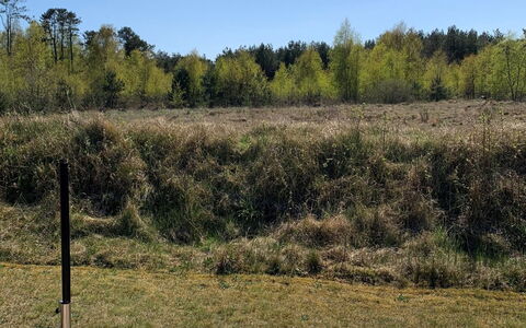 Veiko - 1.2Km from the Sea: Træ, Hjem, Veranda, Dæk, Hårdttræ, Tag, Bejdse, Trægulve, Eco Hotel