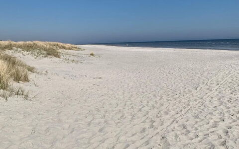 Veiko - 1.2Km from the Sea: Træ, Hjem, Veranda, Dæk, Hårdttræ, Tag, Bejdse, Trægulve, Eco Hotel