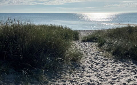 Veiko - 1.2Km from the Sea: Træ, Hjem, Veranda, Dæk, Hårdttræ, Tag, Bejdse, Trægulve, Eco Hotel