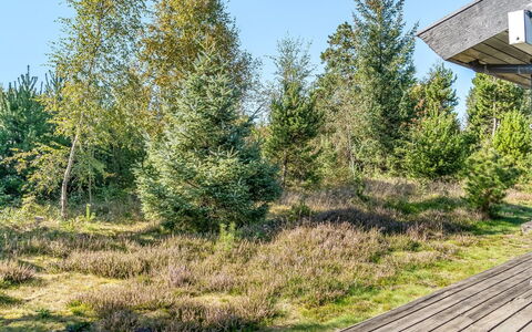 Thomine - 200M from the Sea: Tag, Hus, Hjem, Sommerhus, Sidespor, Estate, Indkørsel, Garden Bygninger, Gård, Skur