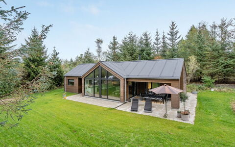 Tilke - 400M from the Sea: Plantesamfund, Sollys, Urteagtig Plante, Have, Plantation, Landbrug, Farm