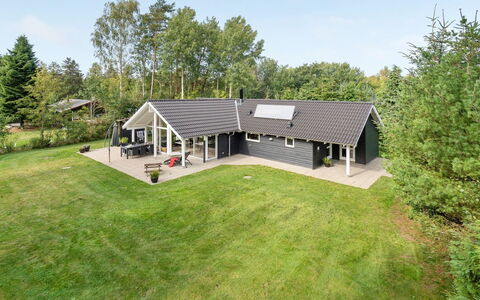 Agved - 1.5Km from the Sea: Plantesamfund, Sollys, Urteagtig Plante, Have, Plantation, Landbrug, Farm