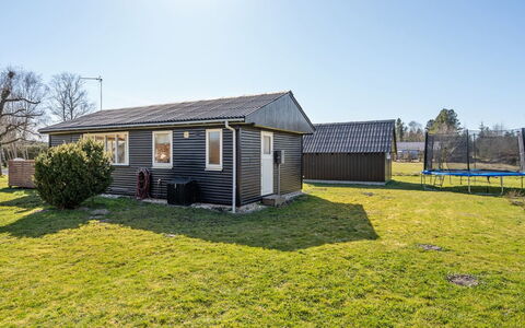 Julla - 1.5Km from the Sea: Plantesamfund, Sollys, Urteagtig Plante, Have, Plantation, Landbrug, Farm