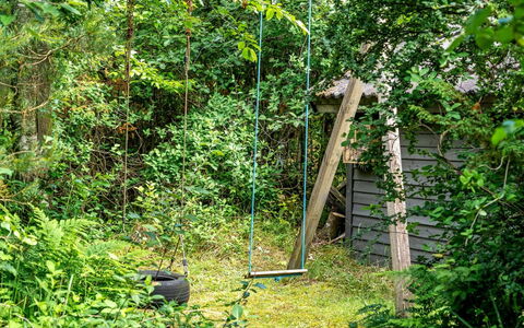 Jaakob - 4Km from the Sea: Grøn, Blad, Træ, Vegetationen, Busk, Plantesamfund, Have, Bunddække, Naturreservat, Jungle