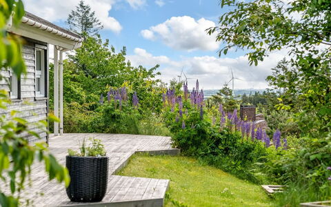 Jaakob - 4Km from the Sea: Grøn, Blomst, Busk, Have, Bunddække, Forår, Sommerhus, Landscaping, Gård, Backyard