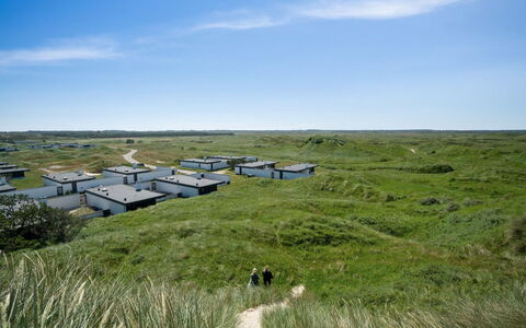 Ingomar - 300M from the Sea: Græs, Græs-, Økoregion, Almindeligt, Land Lot, Landskab, Plantesamfund, Prærie, Steppe, Pasture
