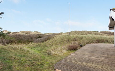 Lennja - 300M from the Sea: Plantesamfund, Sollys, Urteagtig Plante, Have, Plantation, Landbrug, Farm