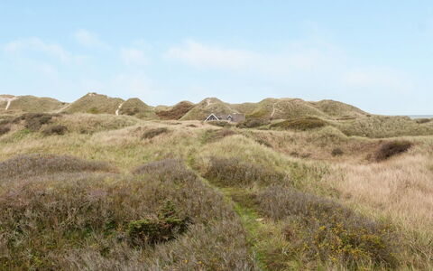 Lennja - 300M from the Sea: Plantesamfund, Sollys, Urteagtig Plante, Have, Plantation, Landbrug, Farm