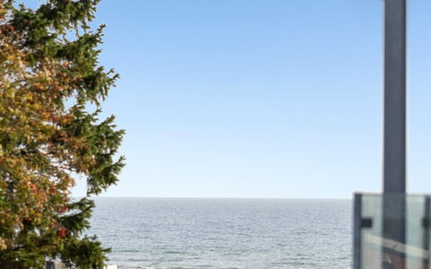 Hethin - 100M from the Sea: Græs, Hus, Tag, Hjem, Sommerhus, Busk, Land Lot, Landdistrikt, Stuehus, Bunddække
