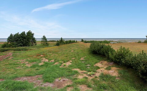 Hane - 150M from the Sea: Græs, Vegetationen, Græs-, Økoregion, Almindeligt, Plantesamfund, Land Lot, Shrubland, Pasture