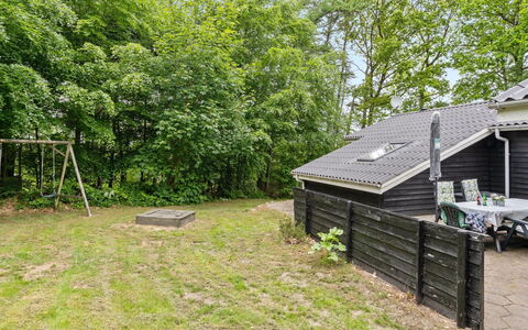 Magh - 30Km from the Sea: Plantesamfund, Sollys, Urteagtig Plante, Have, Plantation, Landbrug, Farm