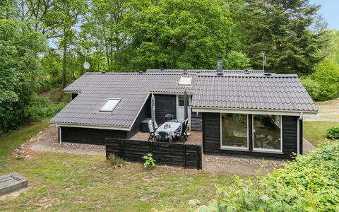 Magh - 30Km from the Sea: Plantesamfund, Sollys, Urteagtig Plante, Have, Plantation, Landbrug, Farm