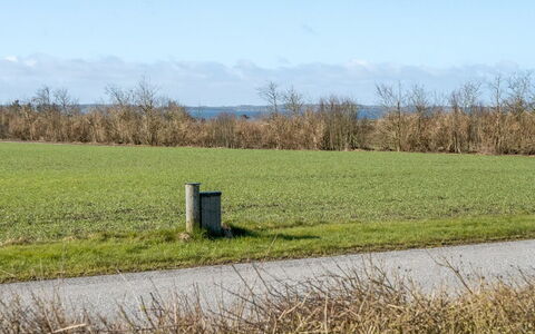 Anselma - 800M to the Fjord: Blå, Busk, Sommerhus, Bunddække, Have, Estate, Skygge, Landscaping, Stuehus, Eco Hotel
