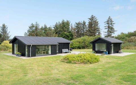 Thilde - 800M from the Sea: Plantesamfund, Sollys, Urteagtig Plante, Have, Plantation, Landbrug, Farm
