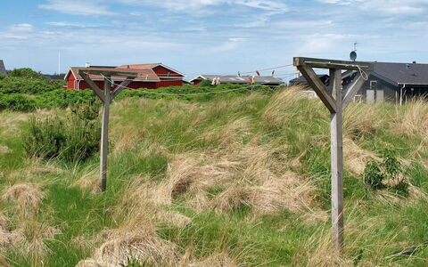Zafirka - 364M from the Sea: Græs, Grøn, Græs-, Plantesamfund, Økoregion, Land Lot, Prærie, Almindeligt, Landdistrikt