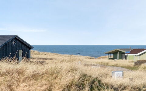 Zafirka - 364M from the Sea: Plantesamfund, Sollys, Urteagtig Plante, Have, Plantation, Landbrug, Farm
