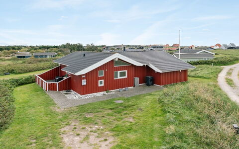 Lien - 160M from the Sea: Plantesamfund, Sollys, Urteagtig Plante, Have, Plantation, Landbrug, Farm