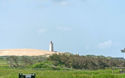 Ananda - 245M from the Sea: Plantesamfund, Sollys, Urteagtig Plante, Have, Plantation, Landbrug, Farm