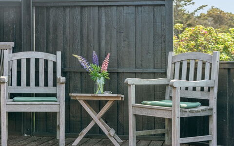 Ananda - 245M from the Sea: Plantesamfund, Sollys, Urteagtig Plante, Have, Plantation, Landbrug, Farm