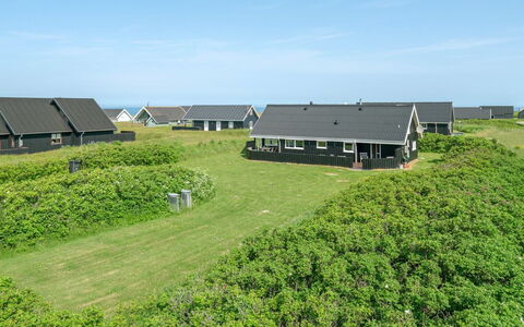 Ananda - 245M from the Sea: Plantesamfund, Sollys, Urteagtig Plante, Have, Plantation, Landbrug, Farm