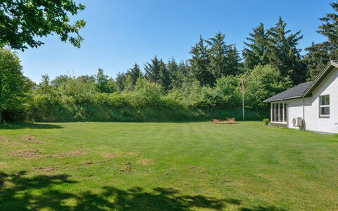 Marsa - 1.5Km from the Sea: Træ, Græs, Busk, Græs-, Have, Almindeligt, Land Lot, Lawn, Sommerhus