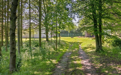 Marsa - 1.5Km from the Sea: Blad, Grøn, Træ, Græs, Afdeling, Naturligt Miljø, Natur, Træ, Naturlige Landskab, Vegetationen