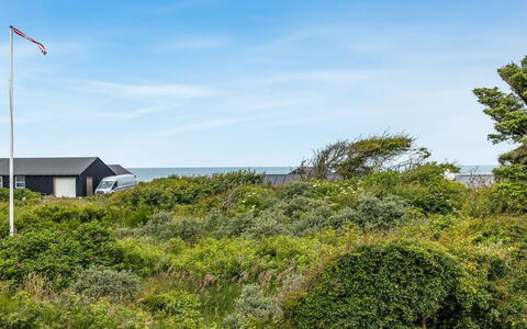 Sorja - 420M from the Sea: Himmel, Blå, Vegetationen, Busk, Plantesamfund, Land Lot, Bunddække, Shrubland, Chaparral