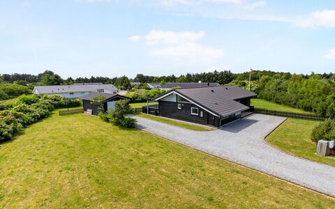 Tatyana - 1.0Km from the Sea: Plantesamfund, Sollys, Urteagtig Plante, Have, Plantation, Landbrug, Farm