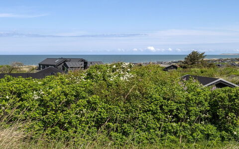 Wolfger - 350M from the Sea: Græs, Græs-, Land Lot, Sommerhus, Landdistrikt, Eng, Garden Bygninger, Have, Skur