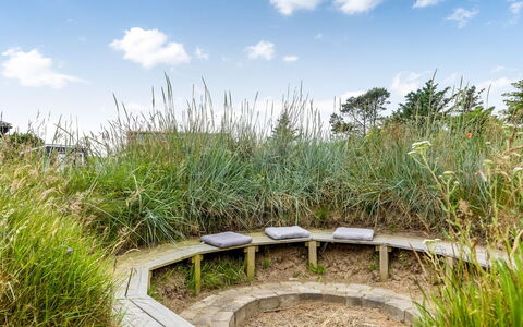 Albert - 340M from the Sea: Busk, Plantesamfund, Land Lot, Bunddække, Have, Shrubland, Eng, Prærie, Urteagtig Plante