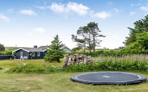 Albert - 340M from the Sea: Græs, Landskab, Land Lot, Græs-, Almindeligt, Lawn, Eng, Landscaping, Have, Pasture