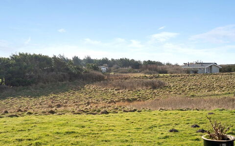 Ailika - 300M from the Sea: Himmel, Græs, Vegetationen, Græs-, Busk, Almindeligt, Økoregion, Land Lot, Plantesamfund