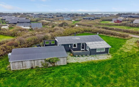 Edvin - 400M from the Sea: Plantesamfund, Sollys, Urteagtig Plante, Have, Plantation, Landbrug, Farm