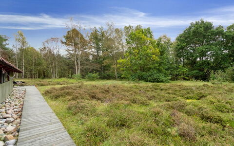 Esteri - 800M from the Sea: Tag, Hus, Hjem, Sommerhus, Sidespor, Estate, Indkørsel, Garden Bygninger, Gård, Skur