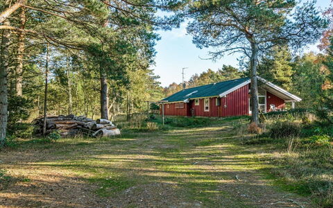 Helmtrud - 500M from the Sea: Træ, Blad, Græs, Naturligt Miljø, Vegetationen, Busk, Landskab, Sommerhus, Land Lot, Plantesamfund
