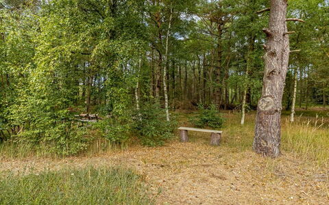 Helmtrud - 500M from the Sea: Blad, Træ, Naturligt Miljø, Græs, Træ, Vegetationen, Naturlige Landskab, Skov, Plantesamfund, Bagagerum