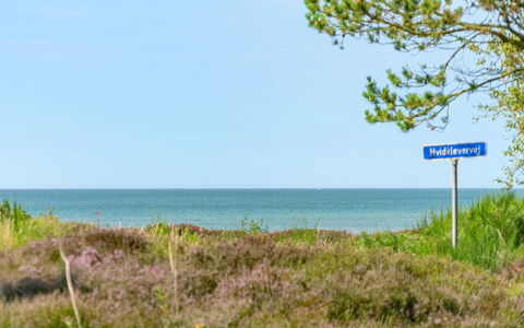 Wimar - 200M from the Sea: Træ, Hjem, Veranda, Dæk, Hårdttræ, Tag, Bejdse, Trægulve, Eco Hotel