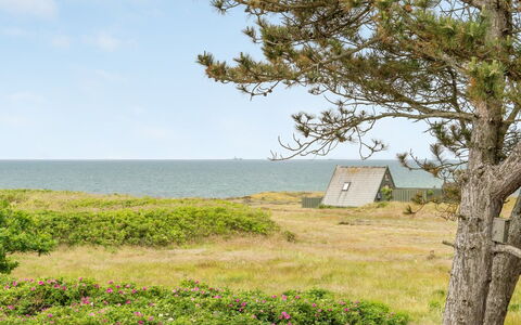 Eivi - 150M from the Sea: Sommerhus, Skur, Hytte, Stuehus, Prærie, Hytte, Lade, Bjælkehytte, Garden Bygninger